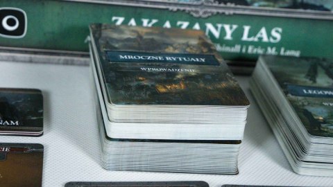 Gra bloodborne: zakazany las