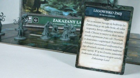 Gra bloodborne: zakazany las