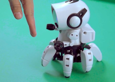 Robot chipz. inteligentny robot