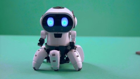 Robot chipz. inteligentny robot