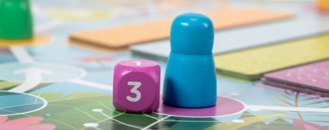 Gra mój własny kameleon