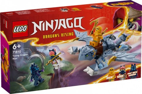 Klocki ninjago 71810 smoczątko riyu