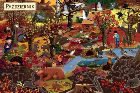 Książeczka rok w lesie