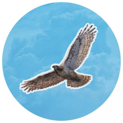 Gra kaskadia pomniki przyrody