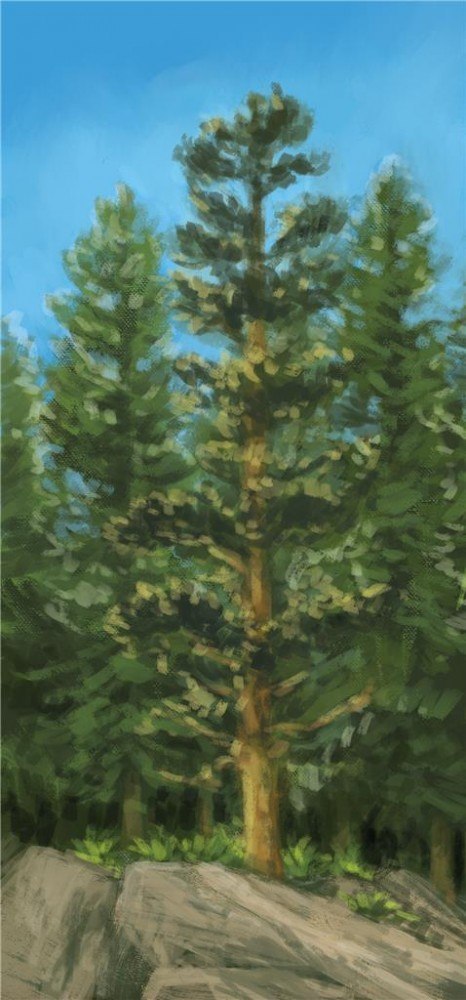 Gra kaskadia pomniki przyrody