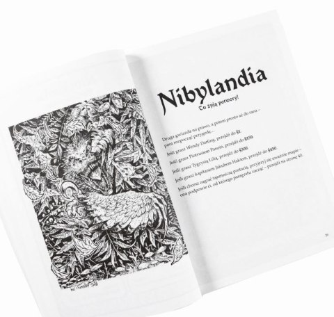Gra książkowa: nibylandia. tu żyją potwory!