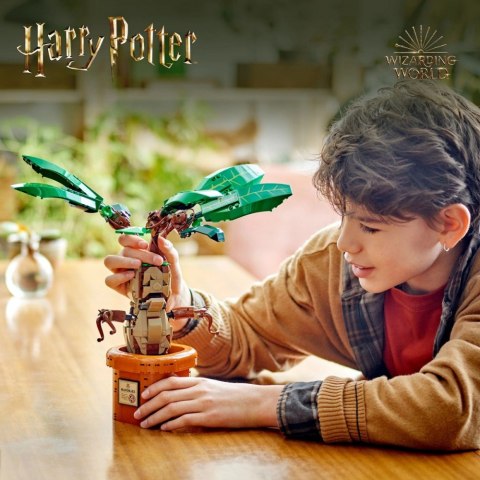 Klocki harry potter 76433 mandragora