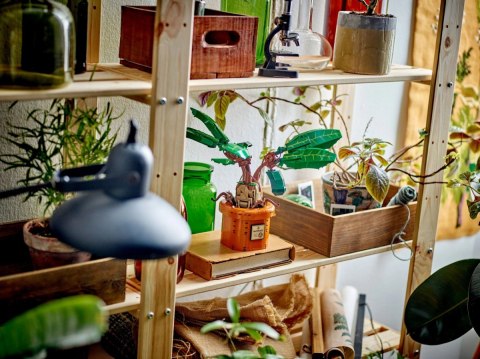 Klocki harry potter 76433 mandragora