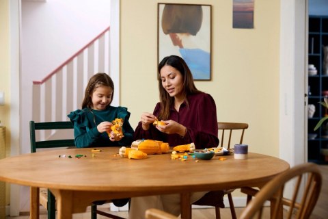 Klocki disney classic 43247 król lew młody simba