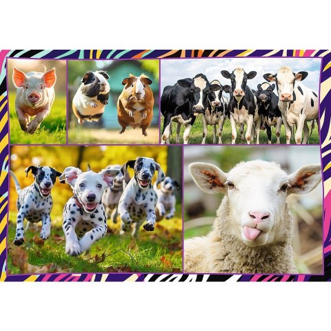 Puzzle 4x250 elementów zabawne zwierzaki