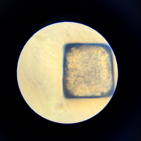 Mikroskop im a genius Mikroskop im a genius