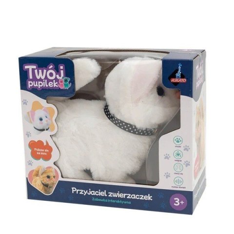 Maskotka interaktywna twój pupilek - kotek biały