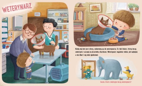 Książeczka feluś i gucio poznają zawody