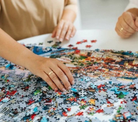 Puzzle 2x500 elementów sztuka malowania kotki Puzzle 2x500 elementów sztuka malowania kotki