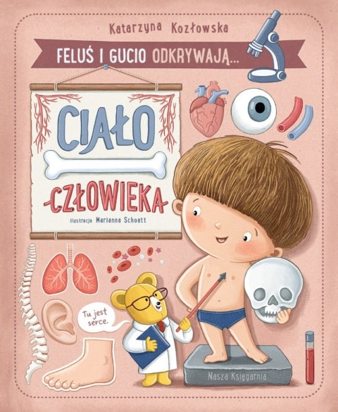 Książeczka feluś i gucio odkrywają... ciało człowieka Książeczka feluś i gucio odkrywają... ciało człowieka