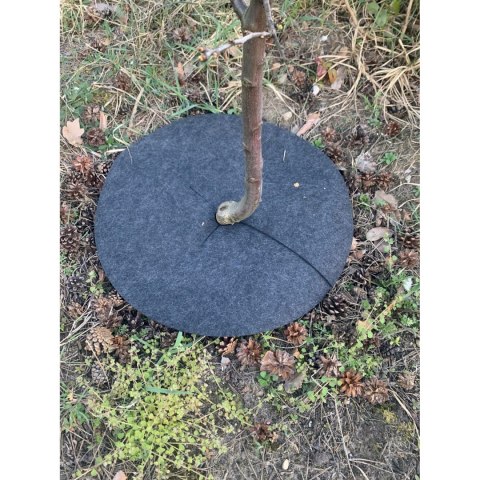 Zestaw krążków antychwastowych 6 szt. Bertoni - 40 cm, szary
