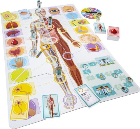 Gra uczymy się. nasze niesamowite ciało