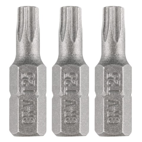 Bity Torx T25 x 25 mm, 3 szt.