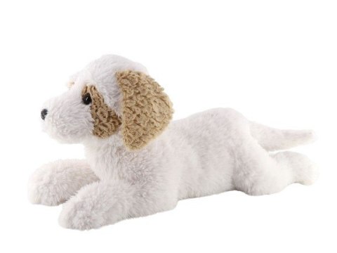 Maskotka pies hawańczyk leżący 60 cm Maskotka pies hawańczyk leżący 60 cm