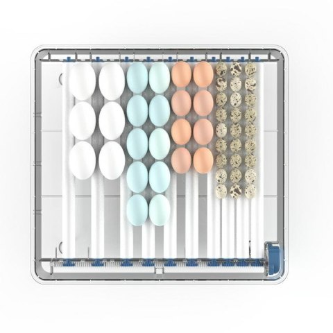 DA431 Inkubator wylęgarka na 64szt jaj