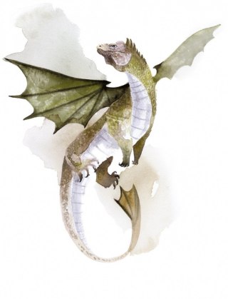 Gra na skrzydłach smoków