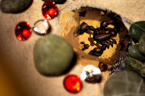 Gra diamenty wersja 1.5