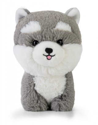 Maskotka teddy pets husky