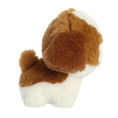 Maskotka teddy pets shih tzu