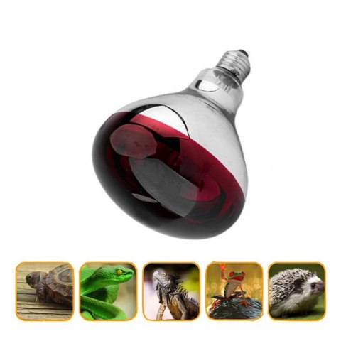 ZD162 Promiennik podczerwieni żarówka 150w
