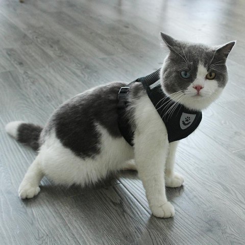 ZW20 Odblaskowe szelki bezuciskowe rozmiar s czarne