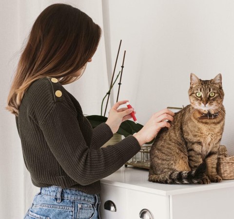 ZW7A Urządzenie do usuwania kleszczy