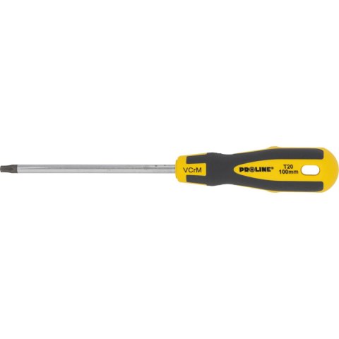 10192 Wkrętak torx security T20