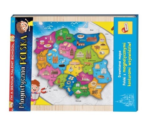 I'm a genius magnetyczna mapa polski I'm a genius magnetyczna mapa polski