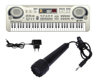 AG278E Keyboard organy z mikr. 61kl silv