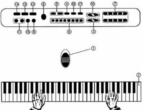 AG278E Keyboard organy z mikr. 61kl silv