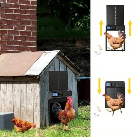 DA265 Drzwi automatyczne do kurnika