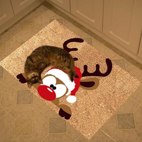 DA322 Wycieraczka do butów świąteczna 40x60cm