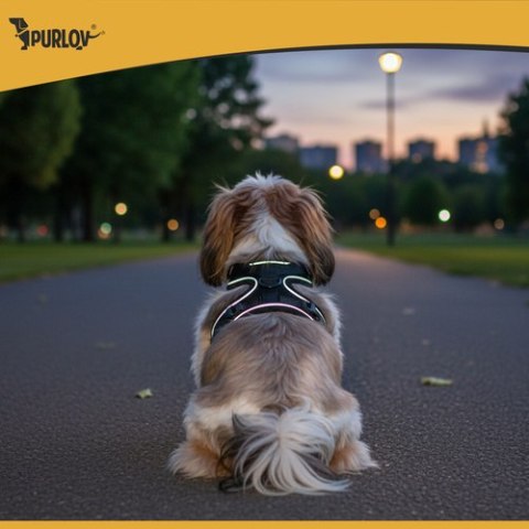 Szelki bezuciskowe dla zwierząt M Purlov 26870