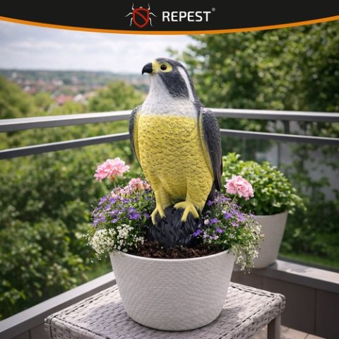 Odstraszacz ptaków - sokół 23421