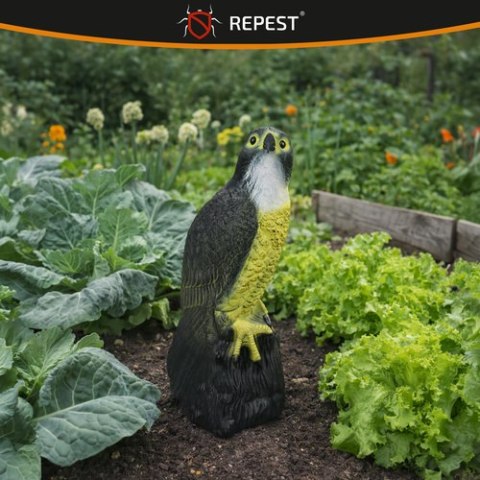 Odstraszacz ptaków - sokół 23421