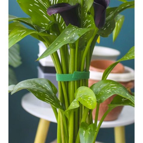 Rzep- taśma ogrodnicza 5m Gardlov 25362