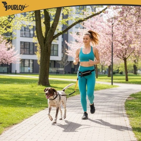 Pas biodrowy ze smyczą Purlov 24689