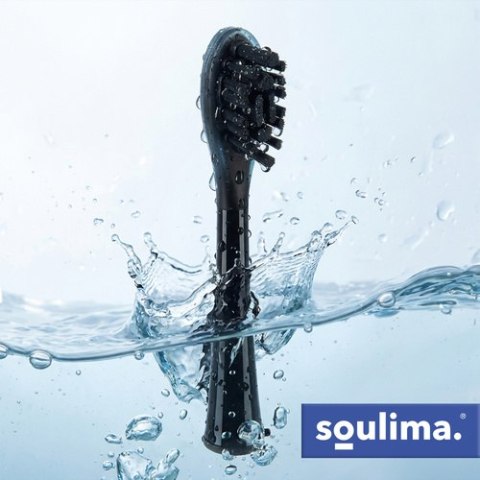 Końcówka do szczoteczki czarna 2szt. Soulima 26932