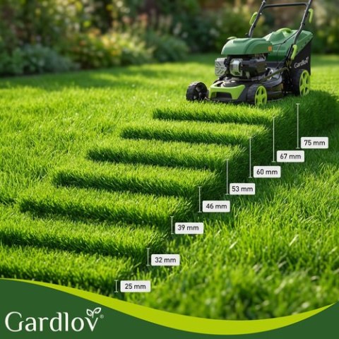 Kosiarka spalinowa z napędem DriveX Gardlov