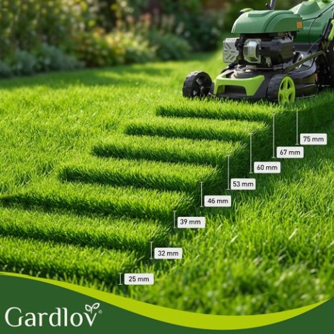 Kosiarka spalinowa z napędem DriveXPro Gardlov