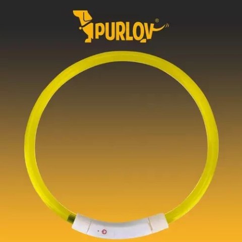 Obroża świecąca LED- regulowana Purlov 21631