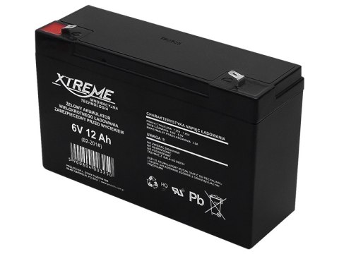 82-201# Akumulator żelowy 6v 12ah xtreme 151x94x50_4,8